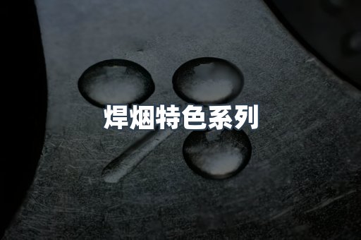 焊烟特色系列