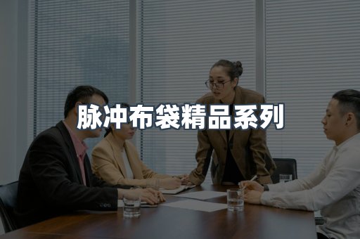 脉冲布袋精品系列